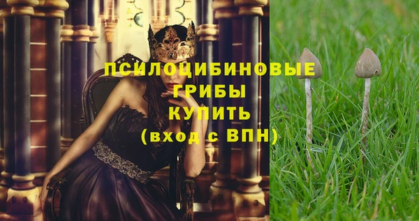 винт Верхний Тагил